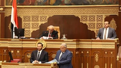 مجلس الشيوخ يوافق مبدئيا على قانون المجلس الأعلى لصناعة السيارات