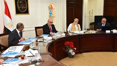 قصة تعيين علي جمعة عضوا بالمياه والصرف الصحي