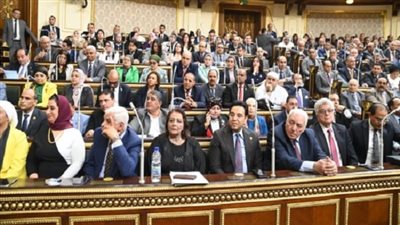 مجلس النواب يوافق على اتفاقية دولية لدعم المرأة 