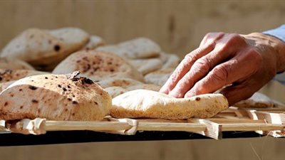 شعبة المخابز: تحديد الدولة 10 آلاف جنيه لطن الدقيق إنذار شديد اللهجة