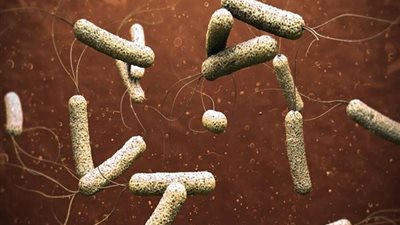 لبنان يسجل 41 إصابة و3 وفيات جديدة بالكوليرا