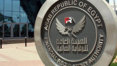 الرقابة المالية: تطوير قدرات المهنيين بالقطاع غير المصرفي ضرورة لتحقيق الاستقرار