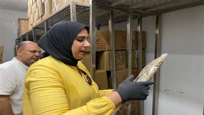 ضبط ٤٤٠ كيلو لحوم محذورة الذبح فى حملة تموينية بمركز طلخا بالدقهلية 