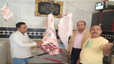 ضبط ٨٥٠ كيلو اسماك مملحة فاسدة و٦٠ كيلو لحوم مذبوحة خارج السلخانة بأجا دقهلية