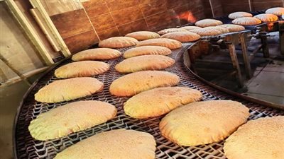 ضبط مخابز مخالفة فى حملة تموينية بمركز نبروة بالدقهلية 