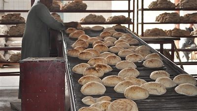 استهلاك المصريين للخبز.. نحتل المرتبة الثانية عربيا والسبب صادم