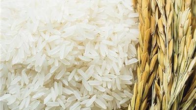 3.6 مليون طن.. 