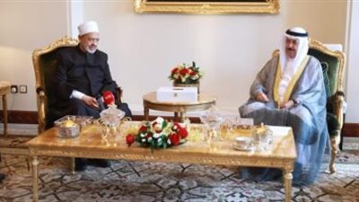 الإمارات: نتمنى لمصر الشقيقة كل النجاح وتحقيق نتائج مثمرة فى COP27