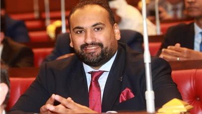 برلماني : استضافة مصر لقمة COP 27 يؤكد دورها الريادي في مواجهة تغير المناخ