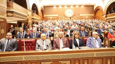  مجلس الشيوخ يوافق نهائيا على تعديل قانون الاستثمار 