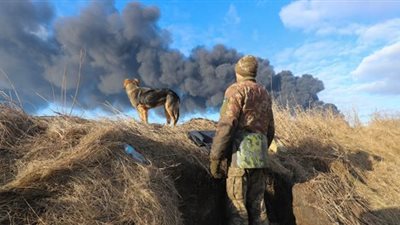  وزارة الدفاع الأوكرانية تعلن رفع علم أوكرانيا في وسط إقليم خيرسون 