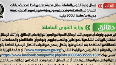 الحكومة تنفى إرسال رسائل للعمالة غير المنتظمة لتحديث بياناتهم 