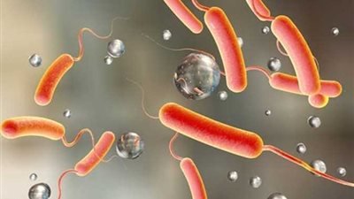 وزير الصحة يكشف وضع مرض الكوليرا في مصر