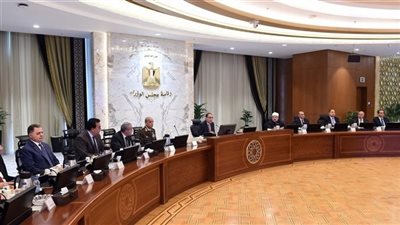  مجلس الوزراء يوافق على اعتبار سلعة 