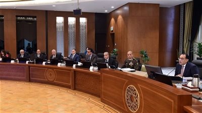  الحكومة تستحدث تحاليل للمقبلين على الزواج لاكتشاف احتمالات إنجاب معاقين 