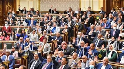 برلماني: قرارات العفو الرئاسي تعكس حرص القيادة السياسية على دعم حقوق الإنسان