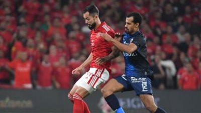 موعد مباريات دور الثمانية لكأس مصر