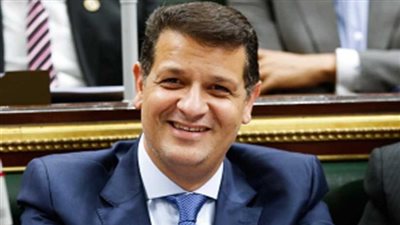  طارق رضوان ردا على البرلمان الأوروبى: حقوق الإنسان ليست قابلة للتجزئة 