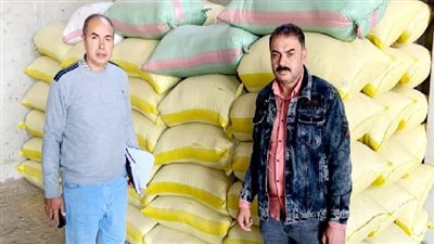 تموين الدقهلية.. ضبط ٦٩ طن أرز شعير قبل بيعها في السوق السوداء 