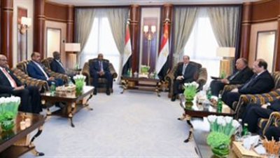 الرئيس السيسي: مصر تدعم جهود مجلس السيادة وتحقيق استقرار السودان