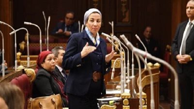 ياسمين: حوافز حكومية لتشجيع الاستثمارات الخاصة فى 