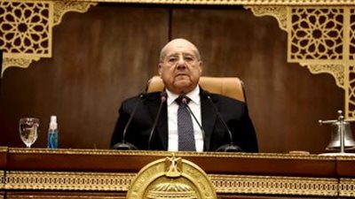 الشيوخ: إنشاء صندوق مصر الرقمية لتعزيز الثقة بين الحكومة والمواطن