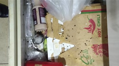 بالصور.. إعدام 133 كيلو أغذية فاسدة بطور سيناء