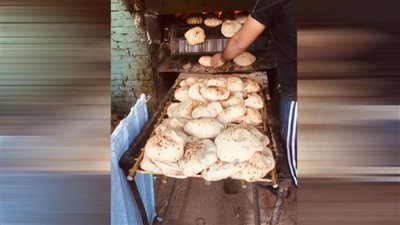 تحرير ٧٧ محضرًا متنوعًا خلال حملة تموينية على المخابز البلدية بمدينة الإسماعيلية  