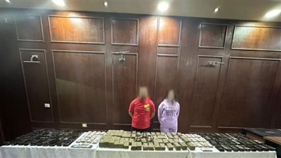 الداخلية: ضبط 860 طربة لمخدر الحشيش بحوزة شخصين بالجيزة