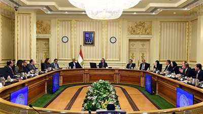 قرارات مجلس الوزراء × أسبوع.. تحديد سعر الأرز الأبيض أبرزها