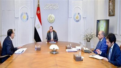 السيسي يتابع خطة تطوير شركات قطاع الأعمال ومبادرات الصحة العامة 