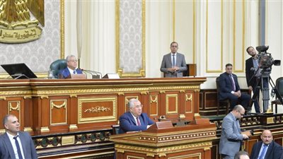 وزير الزراعة: القطاع الزراعي شهد نهضة ودعم غير مسبوق من القيادة السياسية 