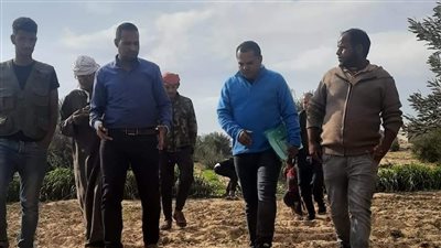 الزراعة: بحوث الصحراء يواصل جهود دمج أبناء سيناء  في التنمية الزراعية المستدامة 