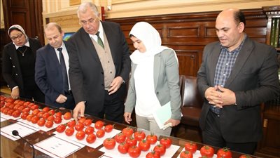 القصير يتابع نتائج تقييم بعض الهجن وأصناف الطماطم في إطار البرنامج الوطنى لإنتاج التقاوي 