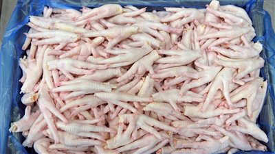 بالفيديو .. القومي للتغذية: أرجل الفراخ مثل الكوارع فى البروتين