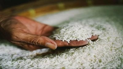 بالفيديو.. تفاصيل ضبط تاجر الوراق المتهم بإحتكار الأرز 