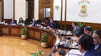 رئيس الوزراء يتابع جهود جذب الاستثمارات الأجنبية في القطاعات المختلفة