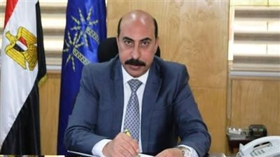 محافظ أسوان: 274 مكانا لتوفير السلع بأسعار مخفضة والمخازن مليانة 