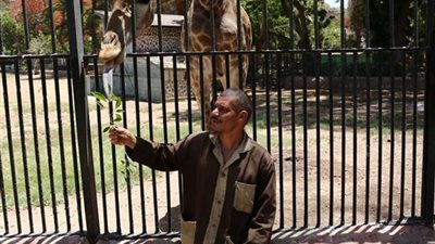 وزارة الزراعة تكشف حقيقة بيع حديقة الحيوان 