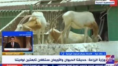 أستاذ بالبحوث الزراعية: حديقة الحيوان صرح علمى يجب تطويرها وإبعاد الباعة