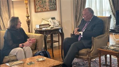 وزير الخارجية يستقبل مدير عام القوة متعددة الجنسيات