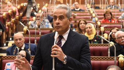 وزير القوى العاملة يستعرض أمام مجلس الشيوخ خطة دمج الإقتصاد غير الرسمي في 