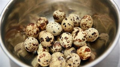 أسعار بيض السمان في الأسواق.. الوحدة بـ 80 قرش