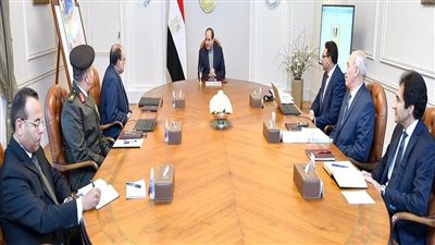 الرئيس السيسي يتابع الموقف التنفيذي لتنمية سيناء