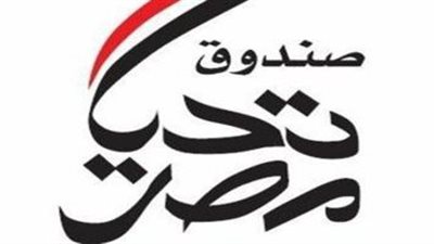 صندوق تحيا مصر: توفير أكثر من 12 ألف سكن بديل للأسر الأولى بالرعاية