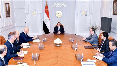 الرئيس السيسي يؤكد.. الاستغلال الأمثل لموارد مصر الطبيعية وقطاع الغاز والطاقة 
