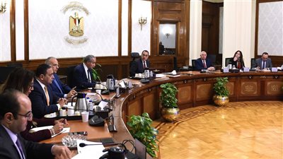 رئيس الوزراء يستعرض سبل توفير الزيوت الخام محلياً لسد الفجوة والحد من الاستيراد