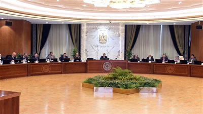 رئيس الوزراء: التحرك الفاعل من القيادة السياسية على الصعيد الخارجي يعزز مكانة مصر 