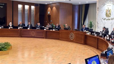 مجلس الوزراء يوافق على حافز إضافي لتوريد أردب القمح المحلي لموسم 2023 