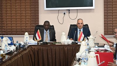 وزيرا الرى المصرى والسودانى يناقشان الشواغل المشتركة في إدارة مورد نهر النيل